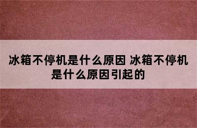 冰箱不停机是什么原因 冰箱不停机是什么原因引起的